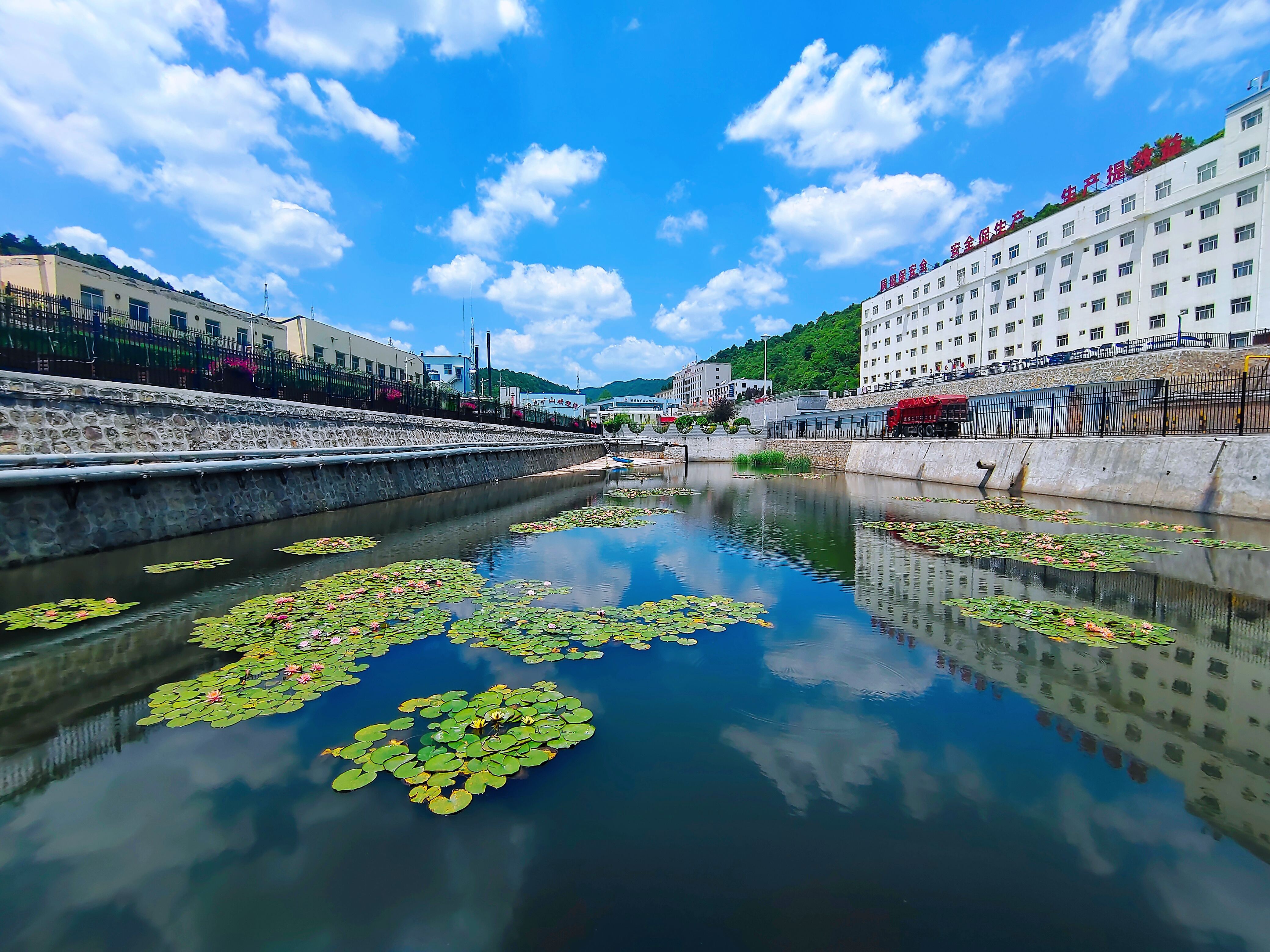 礦區(qū)的清水池內(nèi)，翠綠水草在水面搖曳。